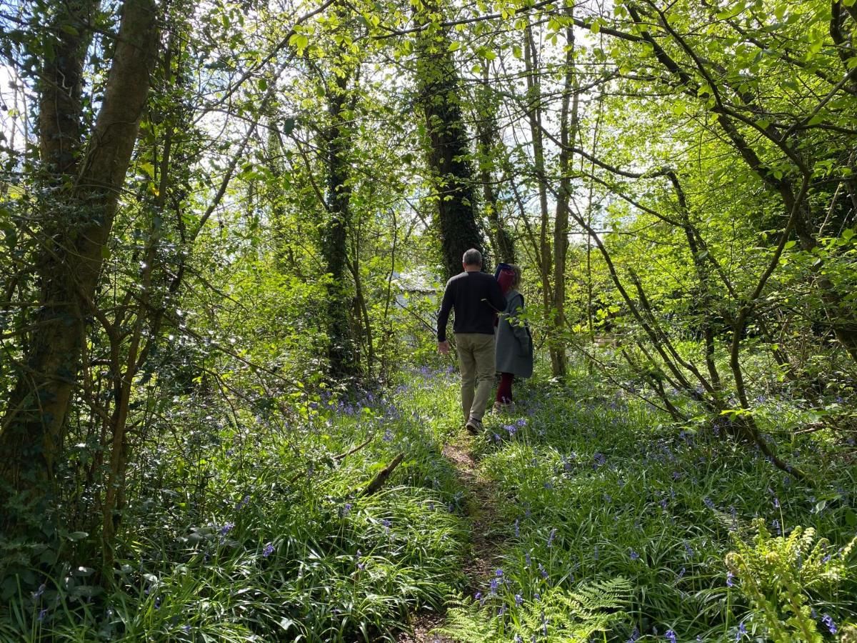 Загородные дома Blackhill Woods Аббилейкс-26
