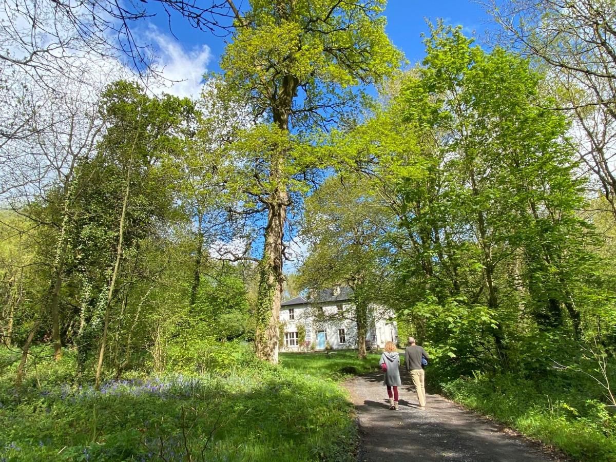 Загородные дома Blackhill Woods Аббилейкс-27