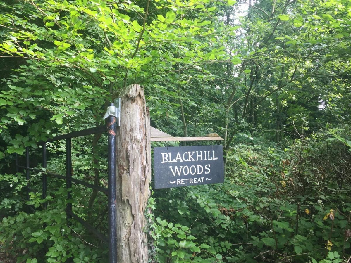 Загородные дома Blackhill Woods Аббилейкс-31