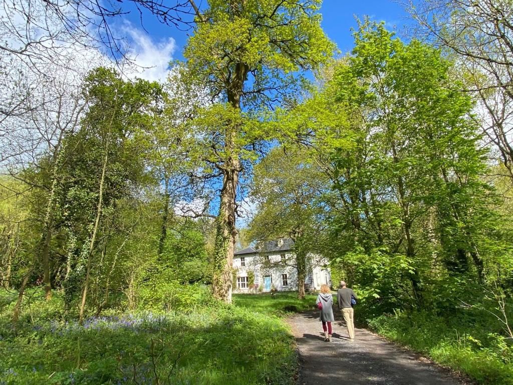 Загородные дома Blackhill Woods Аббилейкс-79